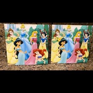 Disney Princess’s Coasters